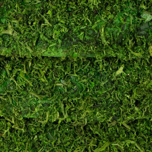 kohteita Koristeellinen sammalseppele sesonkiasetelmiin ja yksilölliseen suunnitteluun, 15 cm, 6 kpl