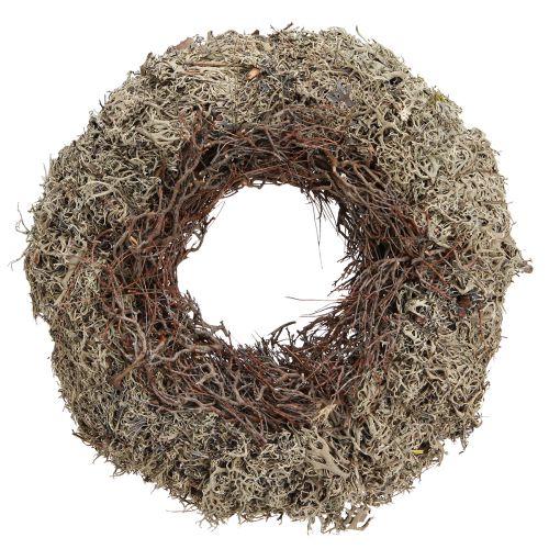 Sammalseppele ja hiiriruohon harmaa sammalseppele jäkälä Ø30cm