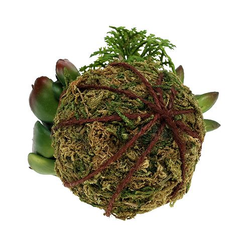 Floristik24 Kokedama Keinotekoinen Vihreä Ø7cm