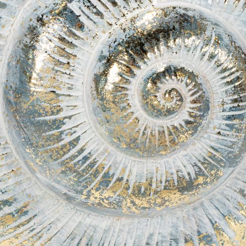 kohteita Koristeellinen etananmuotoinen seinärasia merelliseen ja luonnonteemaiseen seinäkoristeeseen, harmaa, 21 cm