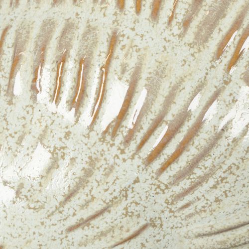 kohteita Keraaminen kulho simpukkakuviolla tyylikkääseen olohuoneen sisustukseen, 23 cm