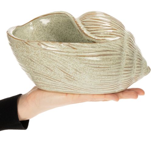 kohteita Keraaminen kulho simpukkakuviolla tyylikkääseen olohuoneen sisustukseen, 23 cm