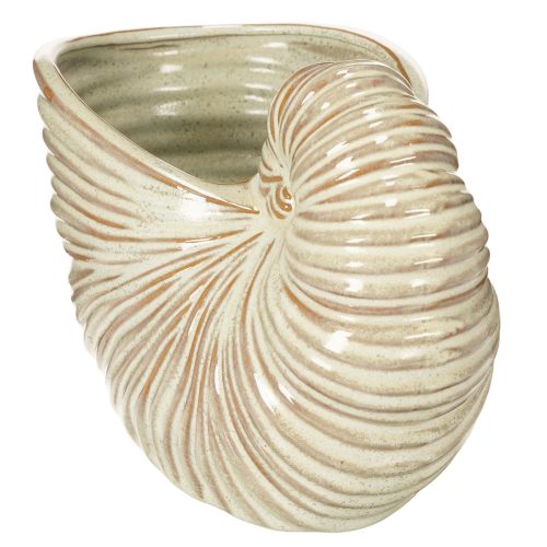 kohteita Keraaminen kukkaruukku etanakuviolla erityisiin asetelmiin, 21 cm