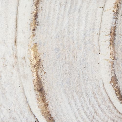 kohteita Koristeellinen simpukankuorikuvio tyylikkääseen merelliseen koristeluun, 44 cm