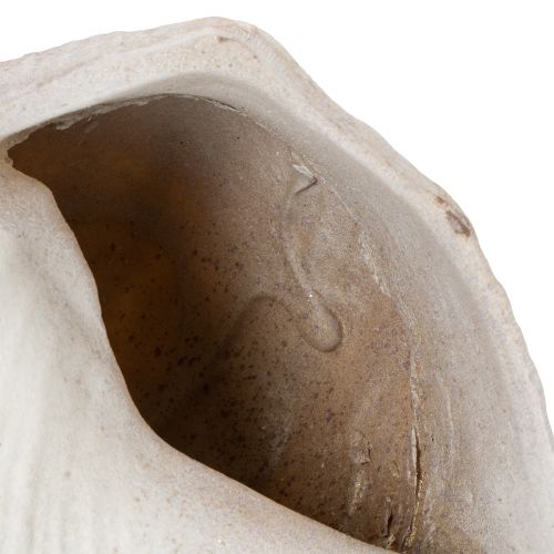 kohteita Koristeellinen simpukankuorikuvio tyylikkääseen merelliseen koristeluun, 44 cm