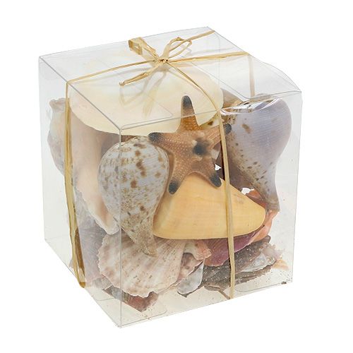 Floristik24 Simpukasekoitus luonnollisessa laatikossa 380g