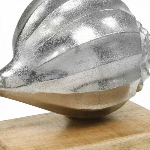 kohteita Kuori metallia, merellinen koristelu hopealle, luonnolliset värit K15cm L18,5cm