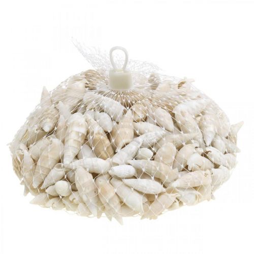 kohteita Deco etanat valkoiset, merietanat luonnollinen koriste 2-5cm 1kg
