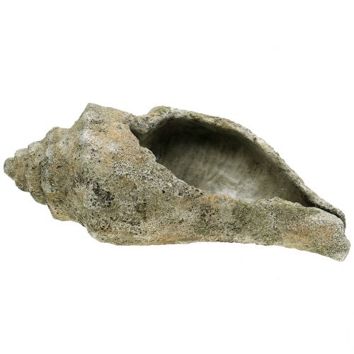 Floristik24 Kuori istutettavaksi L40cm