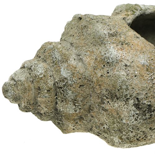 Floristik24 Kuori istutettavaksi L40cm