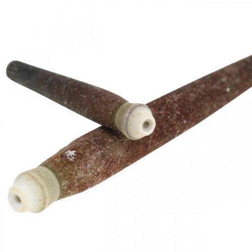 kohteita Koristekuoret Siilipiikit, merisiilien piikit, merikoristeet L3-8cm 450g
