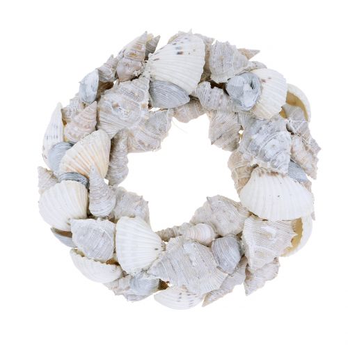 Floristik24 Simpukkaseppele valkoinen Ø14cm