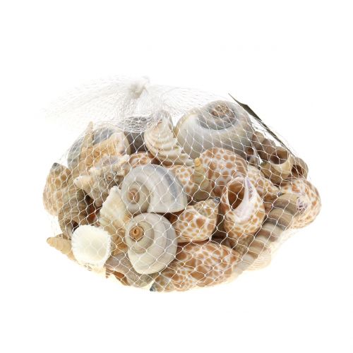 Floristik24 Kuorisekoitus luonnollinen 500g