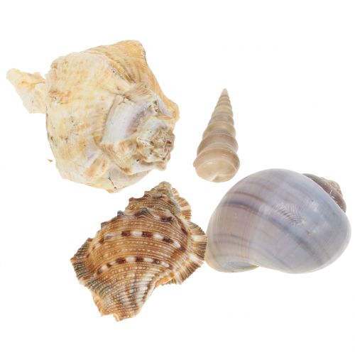 Sinisimpukkasekoitus luonto 500g