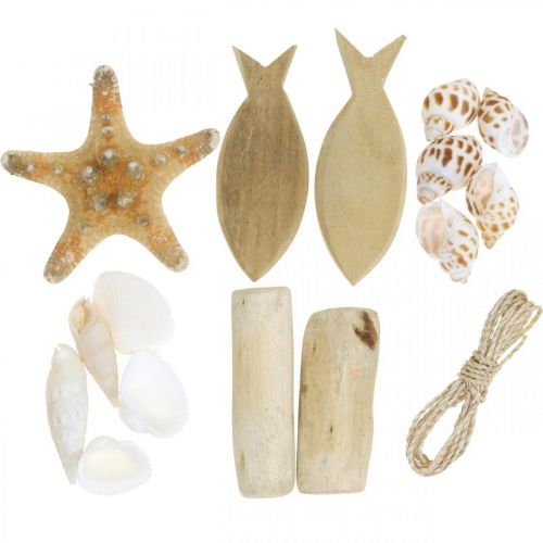 DIY-Box Maritime Natural kuoret puinen koristelu setti valikoima