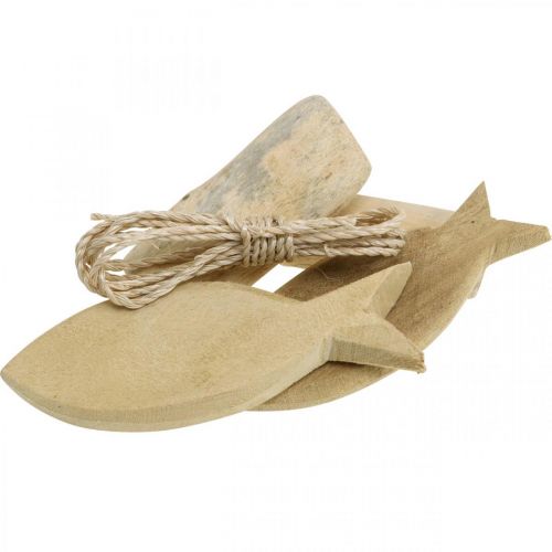 Floristik24 DIY-Box Maritime Natural kuoret puinen koristelu setti valikoima