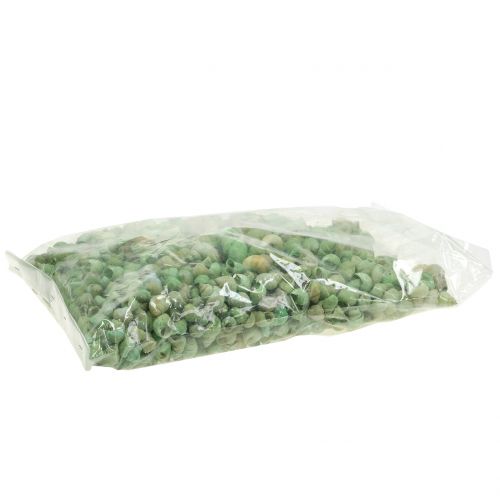 Floristik24 Etana kuorivalikoima vihreä 1kg