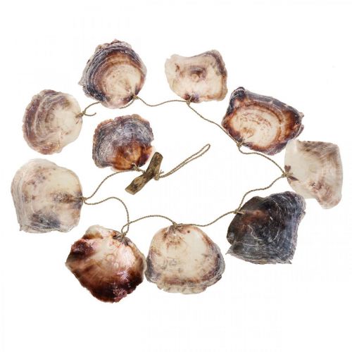 kohteita Shell seppele Merikoristelu kuori seppele 150cm