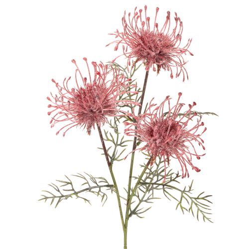 Tekokukka neulatyyny protea kukkiva oksa 65cm 3kpl ostaa | Floristik24.fi