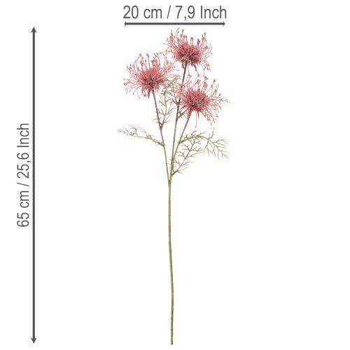 Tekokukka neulatyyny protea kukkiva oksa 65cm 3kpl | Floristik24.fi