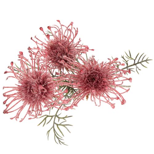 Tekokukka neulatyyny protea kukkiva oksa 65cm 3kpl | Floristik24.fi