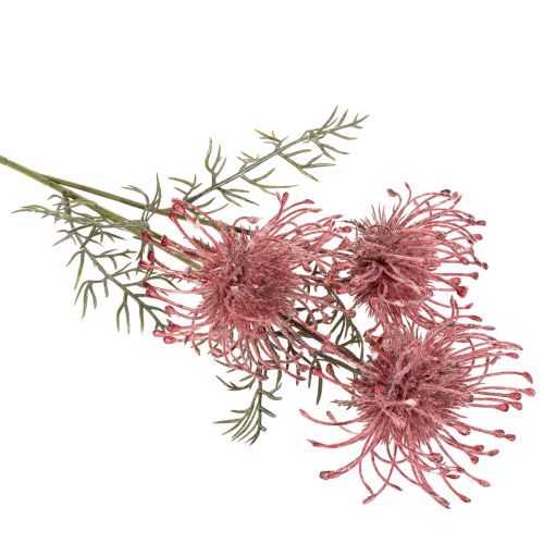 Tekokukka neulatyyny protea kukkiva oksa 65cm 3kpl | Floristik24.fi