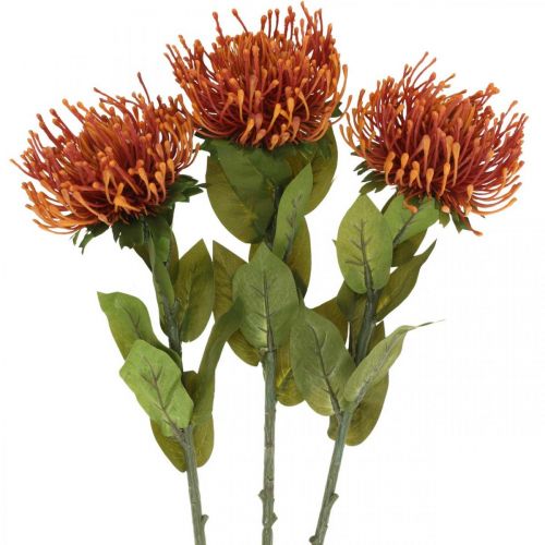 kohteita Neulatyyny eksoottinen tekokukka appelsiini Leucospermum Protea 73cm 3kpl