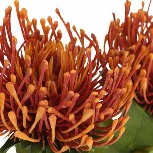 kohteita Neulatyyny eksoottinen tekokukka appelsiini Leucospermum Protea 73cm 3kpl