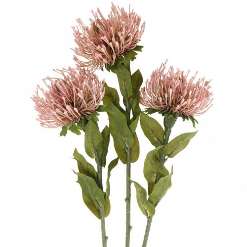 kohteita Syksy Kukka Pincushion keinotekoinen Protea Rosa Leucospermum 73cm 3kpl 3kpl