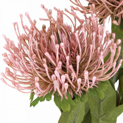 kohteita Syksyn kukkaneulatyyny keinotekoinen Protea Rosa Leucospermum 73cm 3kpl