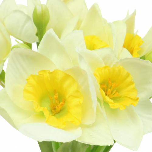 kohteita Narcissus cream L42cm 3kpl