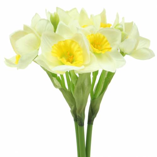 Floristik24 Narcissus cream L42cm 3kpl