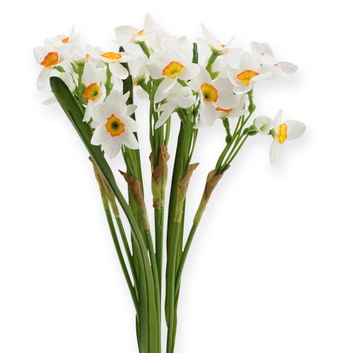 Floristik24 Narsissikimppu valkoista 35cm 3kpl