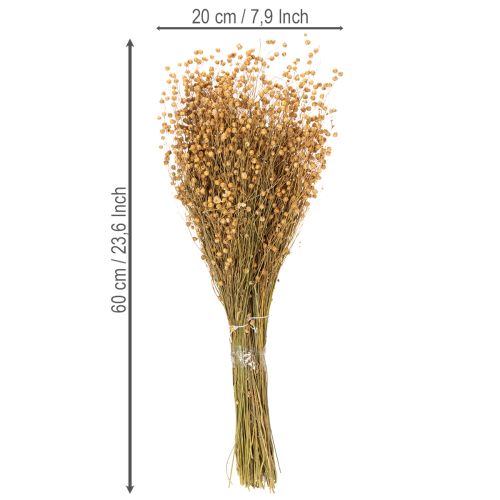 kohteita Luonnonkuituinen pellavaheinä kuivakukka-asetelmiin Linum Natur 60cm 180g