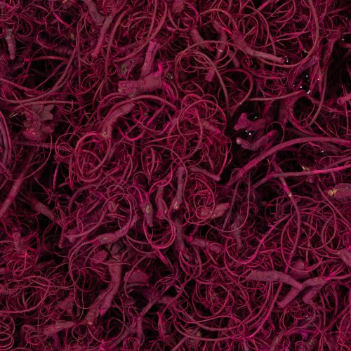 kohteita Luonnonmukaiset tamarindikuidusta valmistetut askartelutarvikkeet, viininpunainen, 500g - Koristelu, Kukkakaupat, Luova