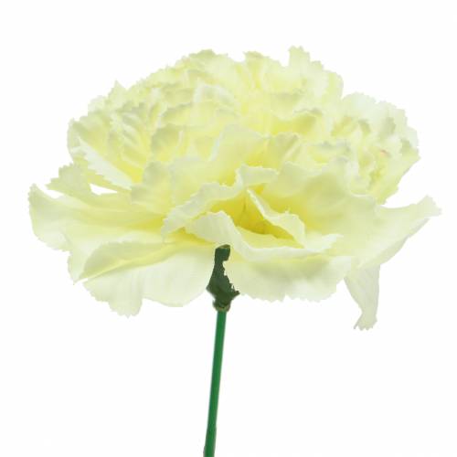 kohteita Neilikkakukka valkoinen Ø9cm 12kpl