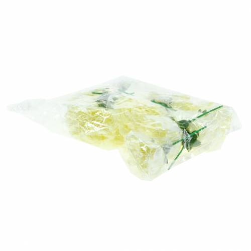 kohteita Neilikkakukka valkoinen Ø9cm 12kpl