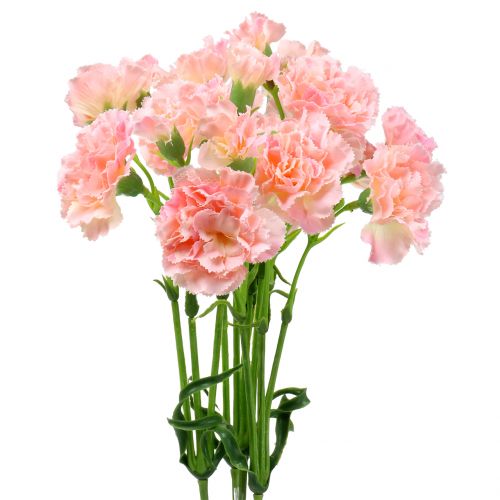 Floristik24 Neilikka pinkki 64cm 4kpl