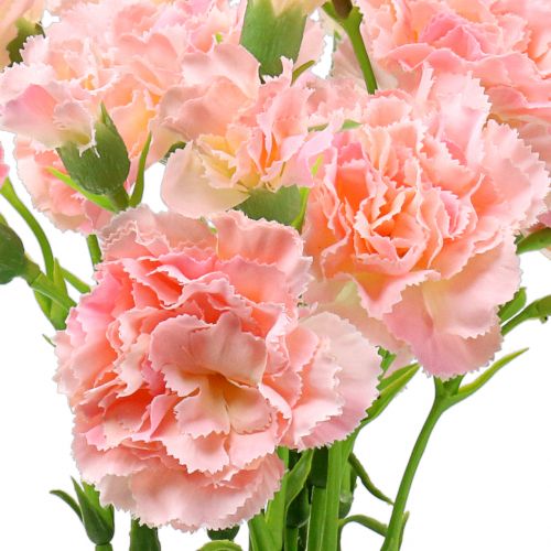 Floristik24 Neilikka pinkki 64cm 4kpl