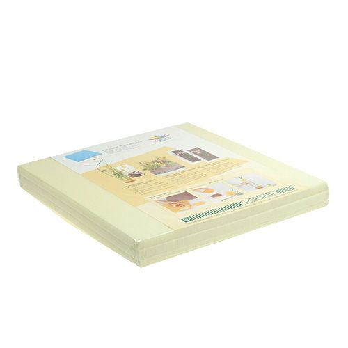 Floristik24 OASIS® Designer Lautaset Ivory Ivory 3 kpl