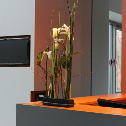 kohteita OASIS® Black Table Deco Medi Floral Foam 4kpl