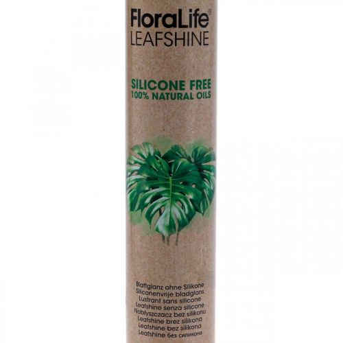 Oasis Floralife Leaf Shine Leaf Shine Spray 750ml