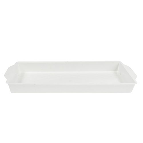 OASIS® plug-in kulho valkoinen 23cm x 11,5cm x 2,5cm 5 kpl