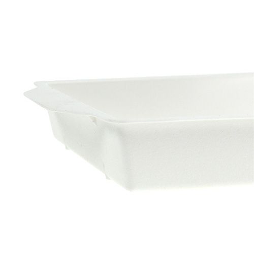 kohteita OASIS® plug-in kulho valkoinen 23cm x 11,5cm x 2,5cm 5 kpl