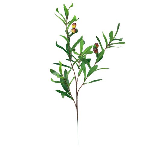 Floristik24 Oliivinoksa keinotekoinen oliivi koristeoksa 45cm