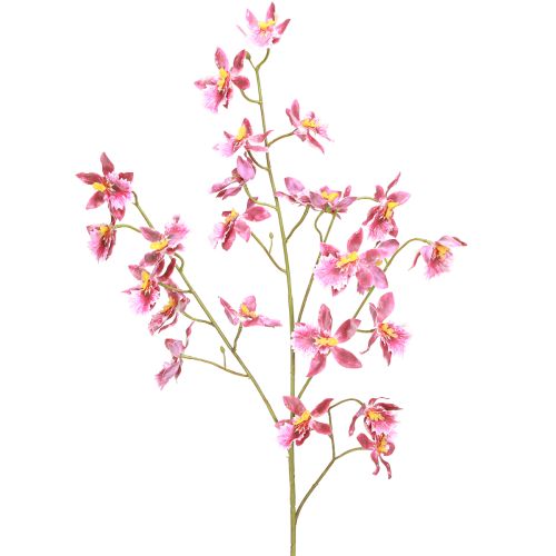 Floristik24 Oncidium Keinotekoiset Orkideat Koriste Vaaleanpunainen Violetti 93cm 2kpl