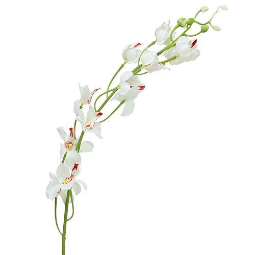 Floristik24 Orkidea Mokara Valkoinen 92cm 3kpl