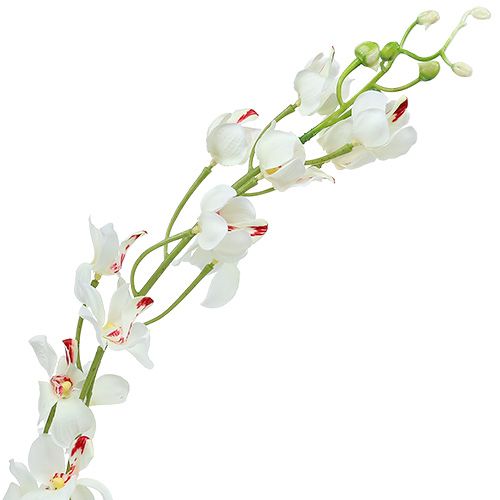 kohteita Orkidea Mokara Valkoinen 92cm 3kpl