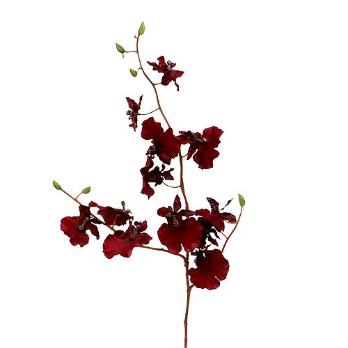 Floristik24 Orkidea Oncidium 70cm tummanpunainen 3kpl