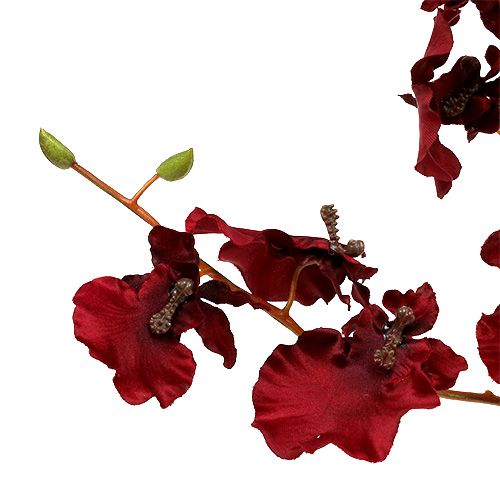 Floristik24 Orkidea Oncidium 70cm tummanpunainen 3kpl